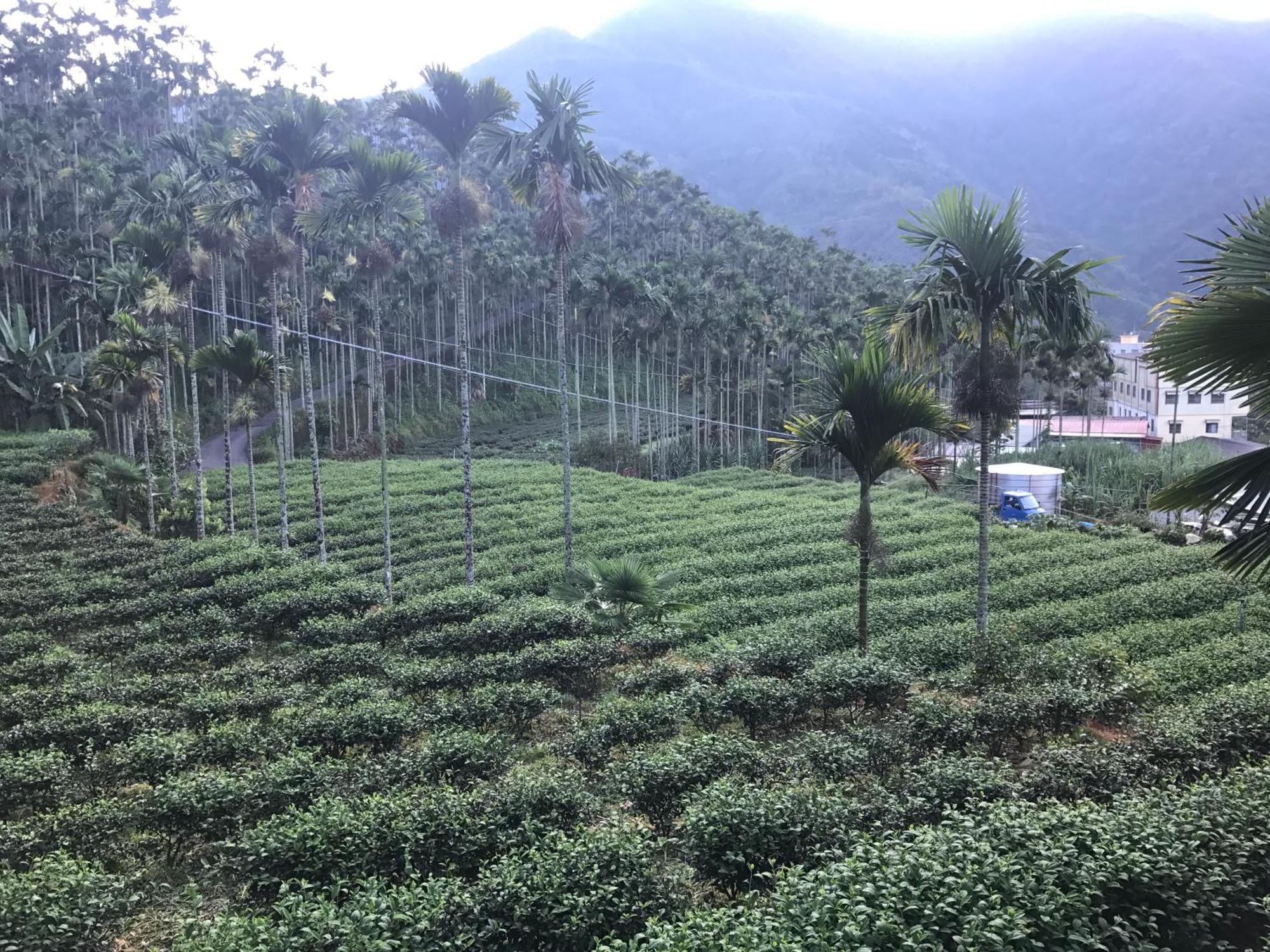 Appartement De Ren Tea Gardens à Meishan Extérieur photo
